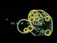 Alice in Chains: Black Antenna Alice in Chains: Black Antenna